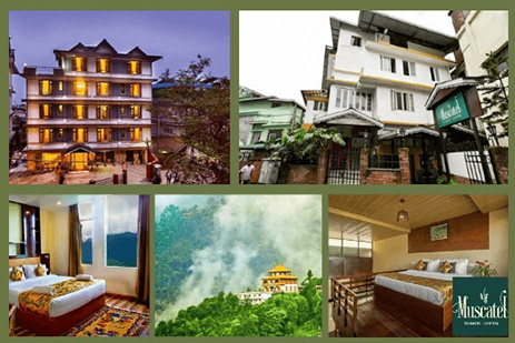 Muscatel Hotels, Sikkim